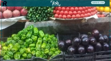 أسعار الخضراوات والفاكهة في قنا اليوم السبت تتصدر السوق